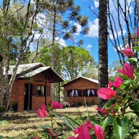 Cabanas Dos Pinheiros São Francisco de Paula Esterno foto
