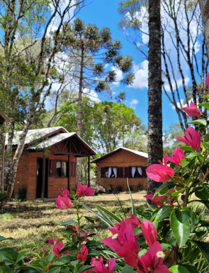 Cabanas Dos Pinheiros São Francisco de Paula Esterno foto