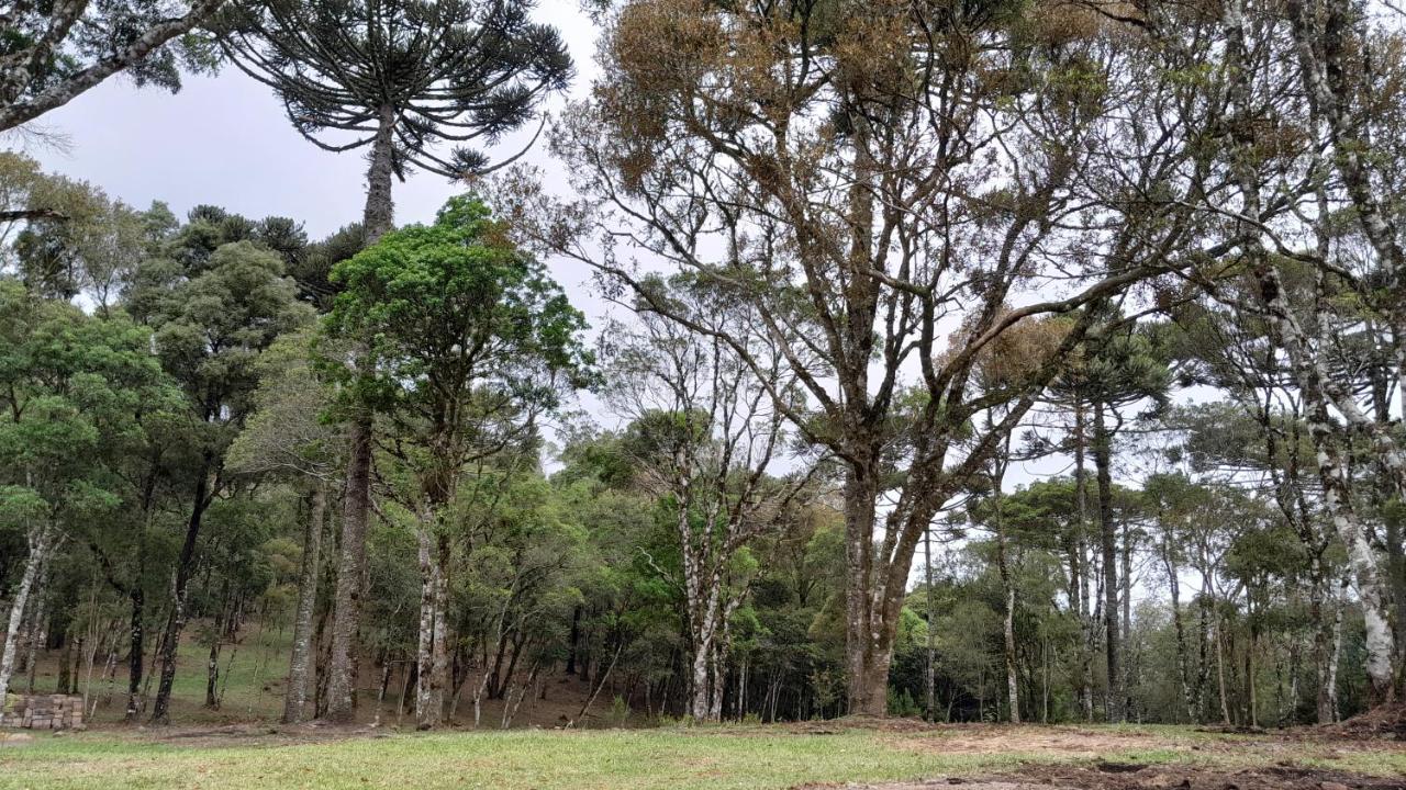 Cabanas Dos Pinheiros São Francisco de Paula Esterno foto