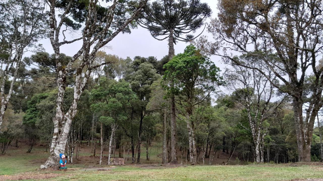Cabanas Dos Pinheiros São Francisco de Paula Esterno foto
