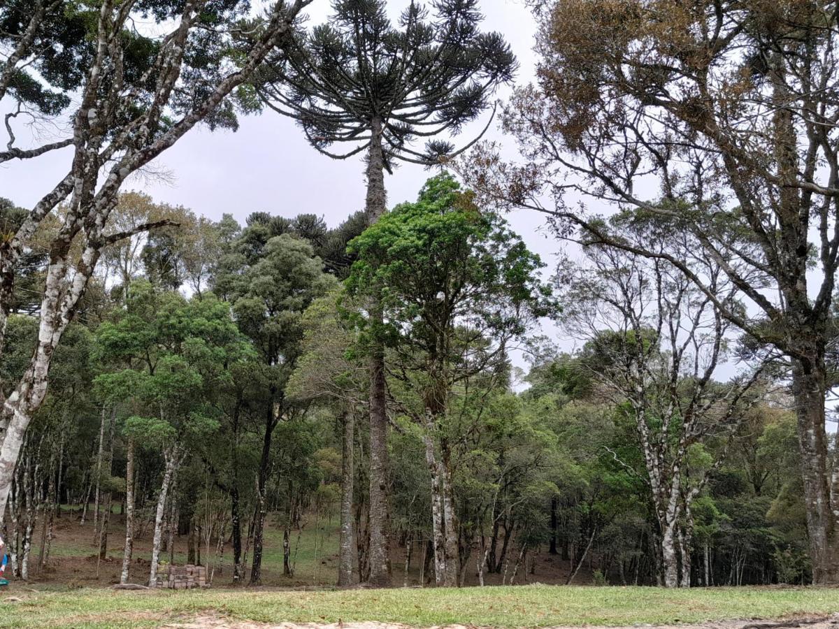 Cabanas Dos Pinheiros São Francisco de Paula Esterno foto