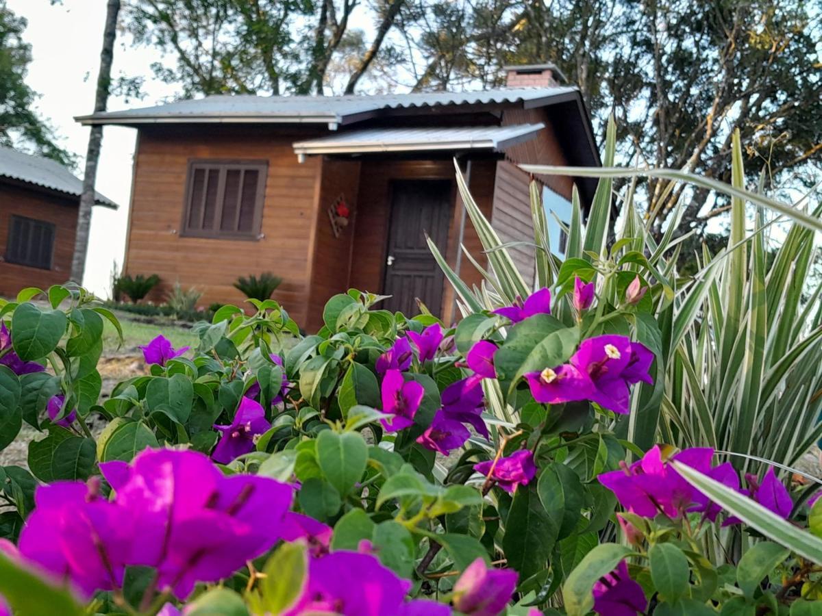 Cabanas Dos Pinheiros São Francisco de Paula Esterno foto