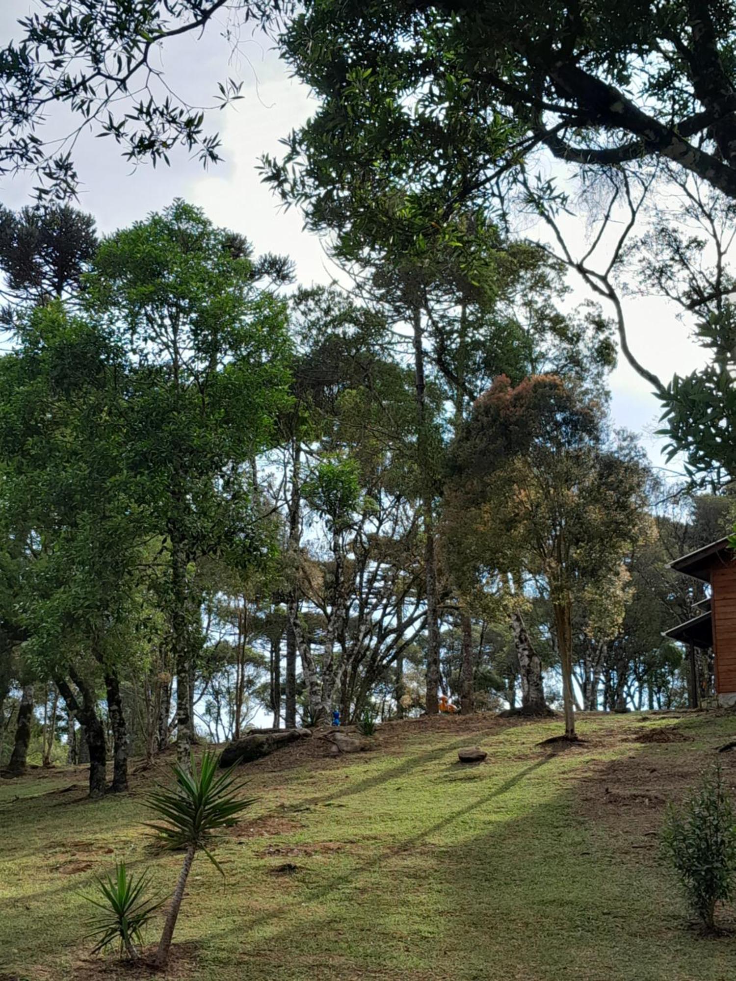 Cabanas Dos Pinheiros São Francisco de Paula Camera foto
