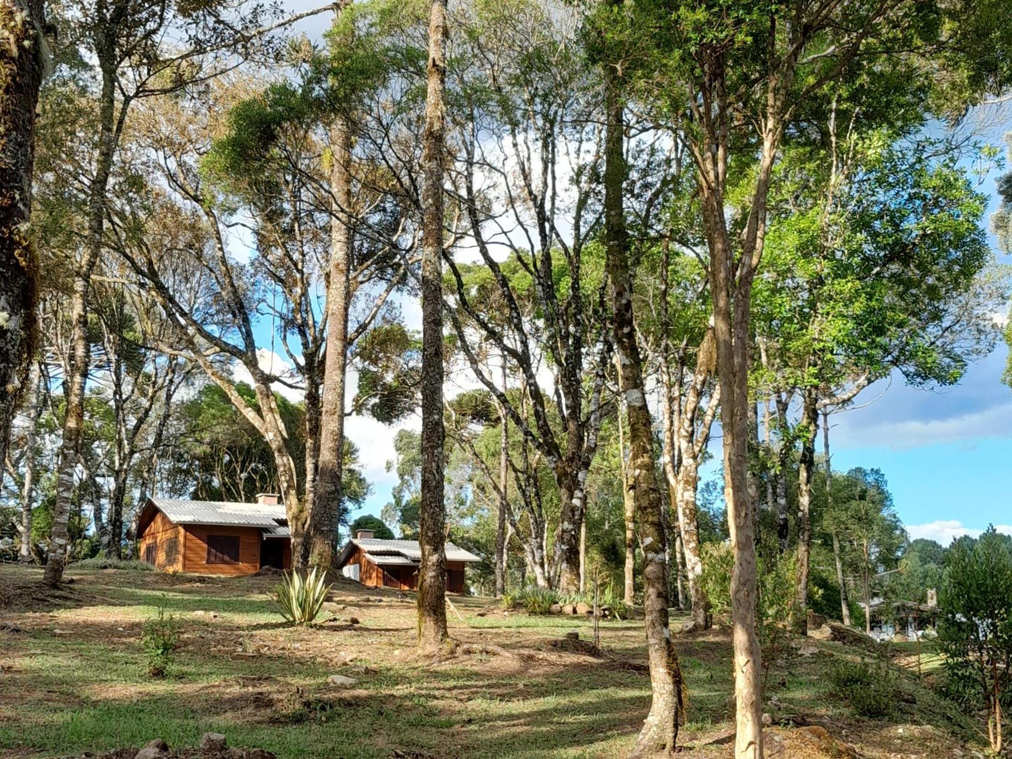 Cabanas Dos Pinheiros São Francisco de Paula Camera foto