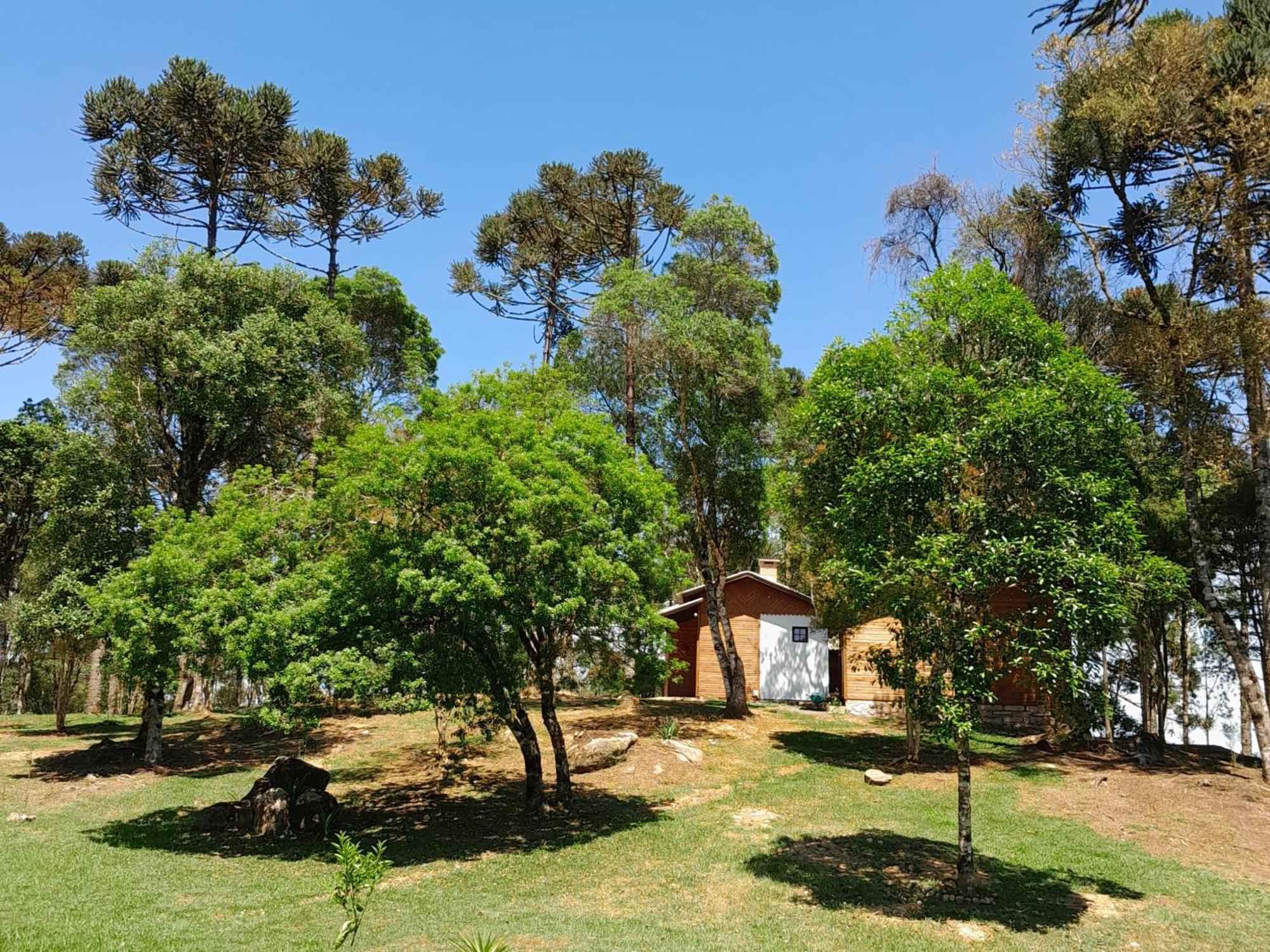 Cabanas Dos Pinheiros São Francisco de Paula Camera foto