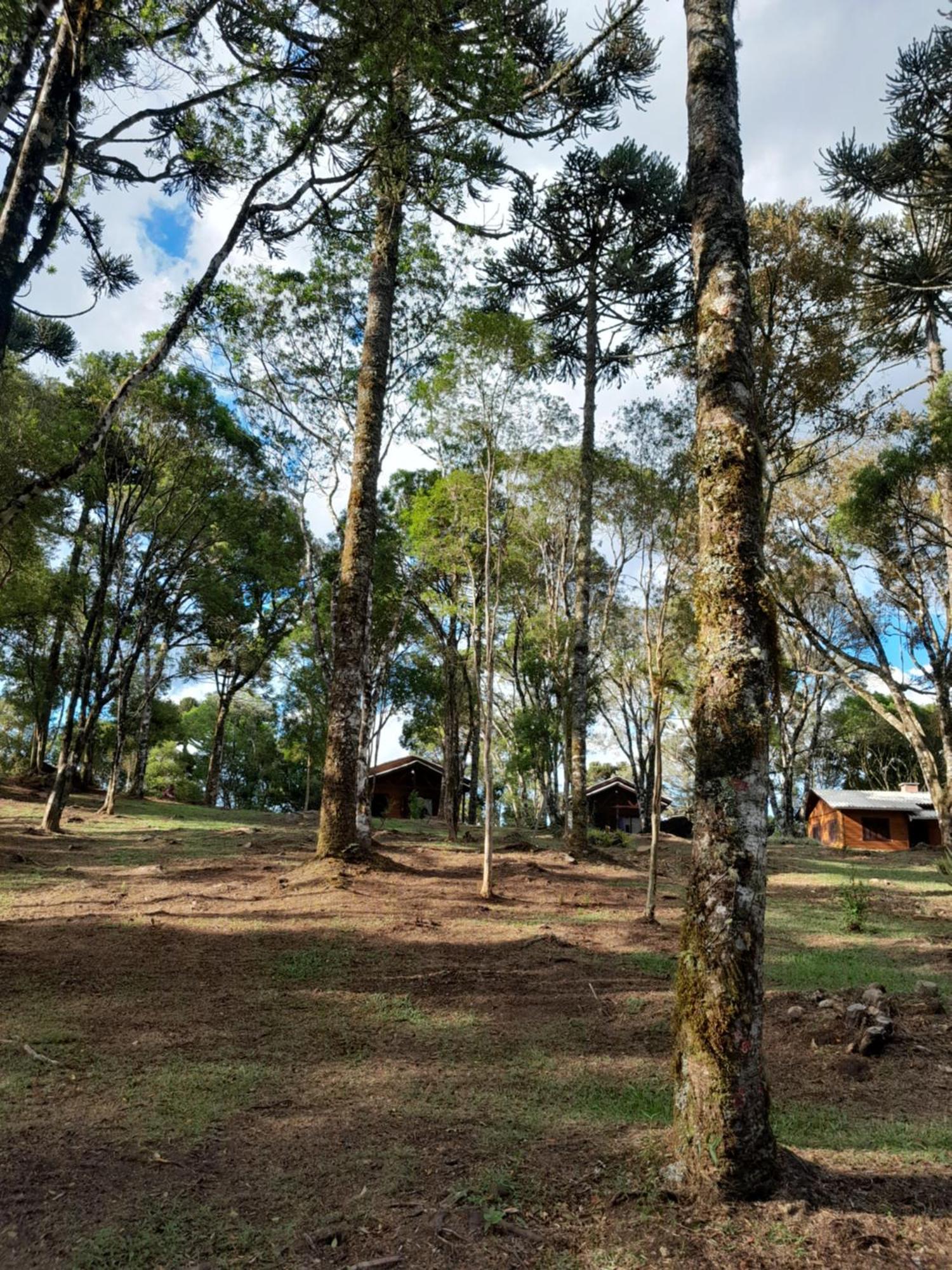 Cabanas Dos Pinheiros São Francisco de Paula Camera foto