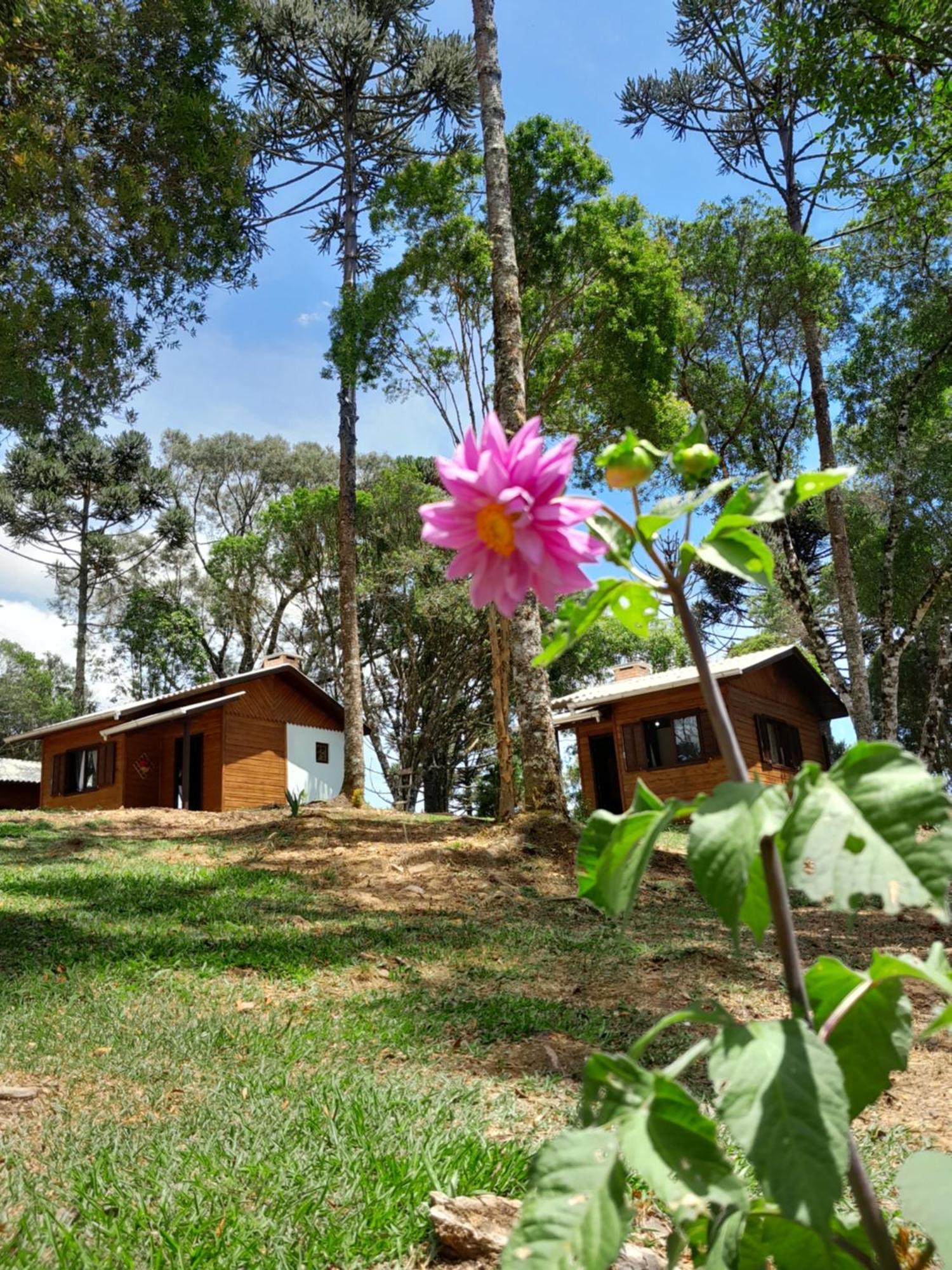 Cabanas Dos Pinheiros São Francisco de Paula Camera foto